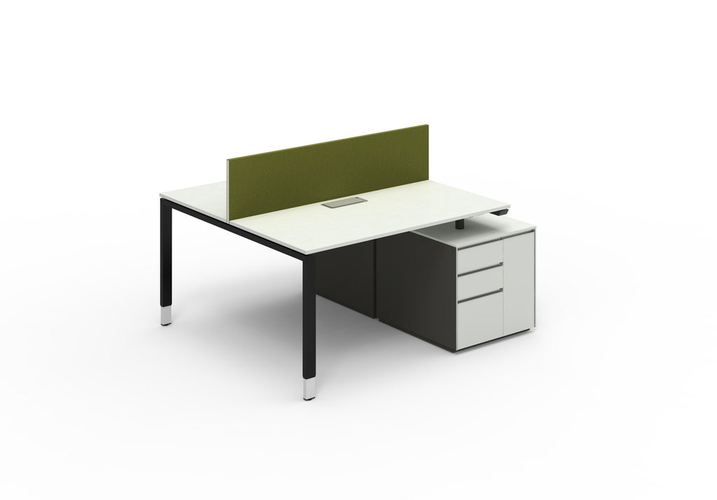 Carl Sharing Side Workstation