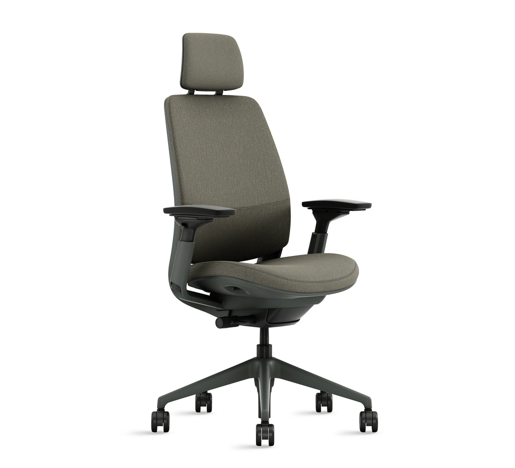 Series 2 chair with head rest