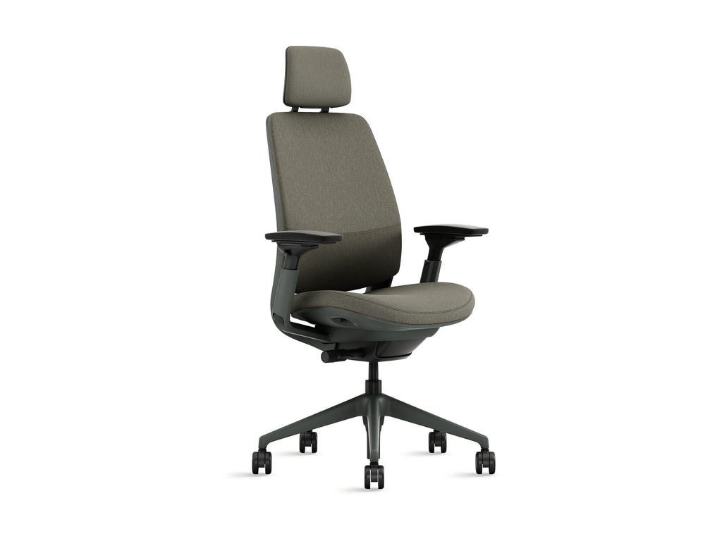 Series 2 chair with head rest