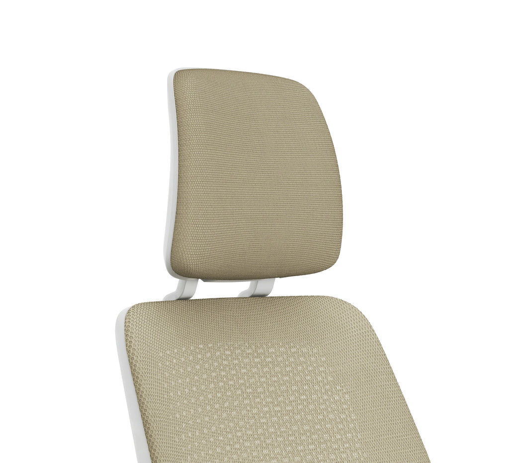 Series 2 chair with head rest