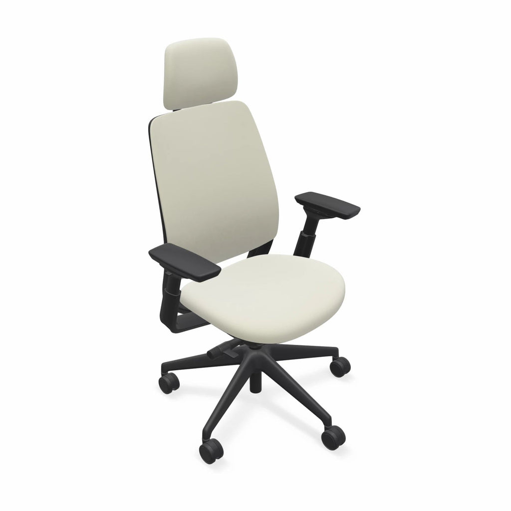 Series 2 chair with head rest