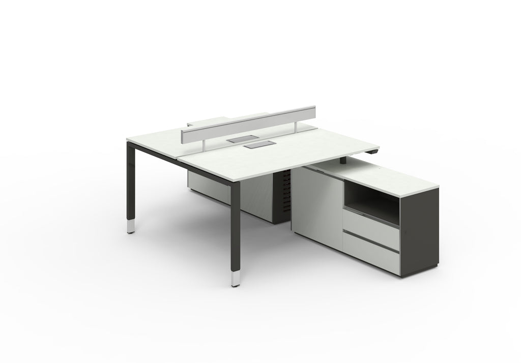 Carl Sharing Side Workstation