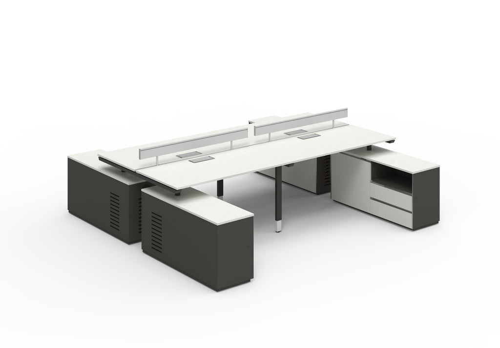 Carl Sharing Side Workstation