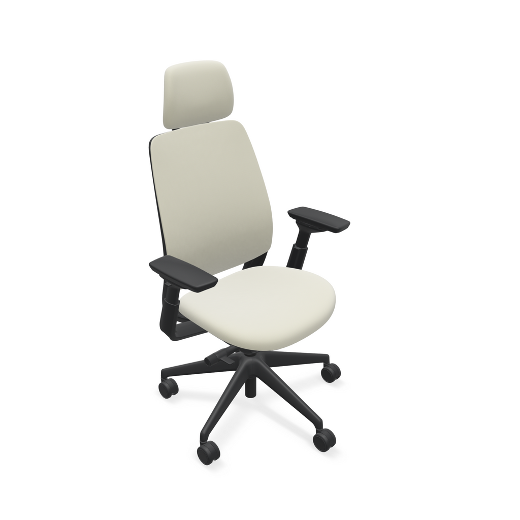 Series 2 chair with head rest