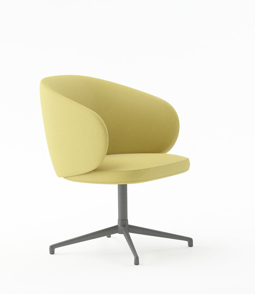 Liora - Arm Chair ( Fabric Finish)