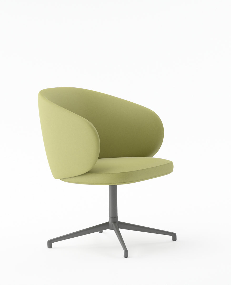 Liora - Arm Chair ( Fabric Finish)