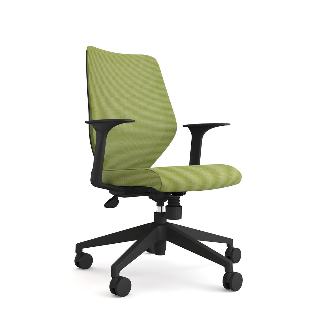 NEMO Staff  Chair